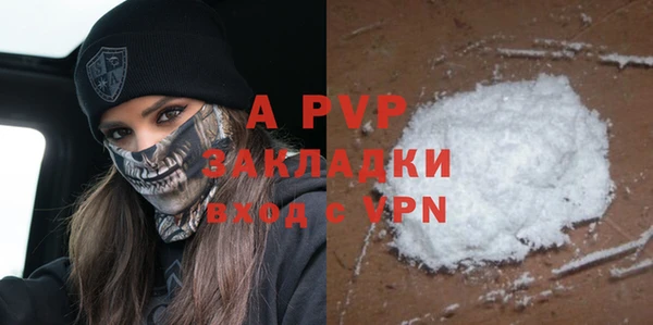 ПСИЛОЦИБИНОВЫЕ ГРИБЫ Белоозёрский