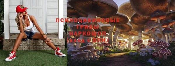 ALPHA PVP Белокуриха