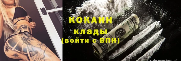ПСИЛОЦИБИНОВЫЕ ГРИБЫ Белоозёрский