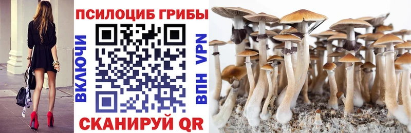 Галлюциногенные грибы Magic Shrooms  Купить где  Жуков 